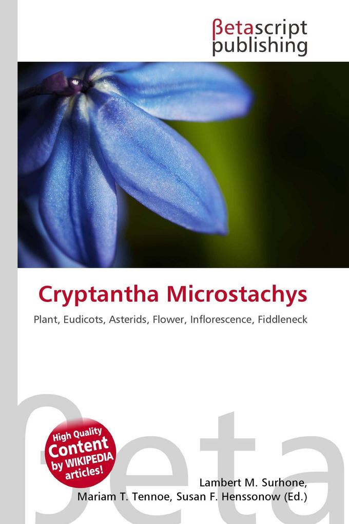 Cryptantha Microstachys