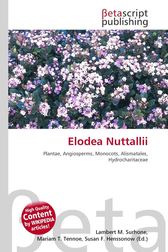 Elodea Nuttallii