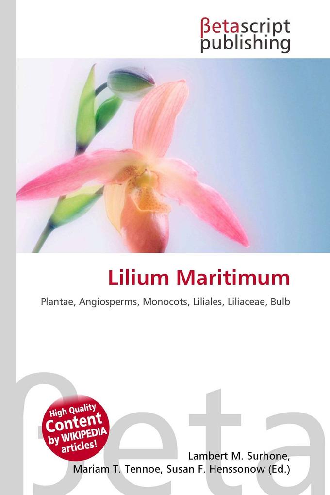 Lilium Maritimum