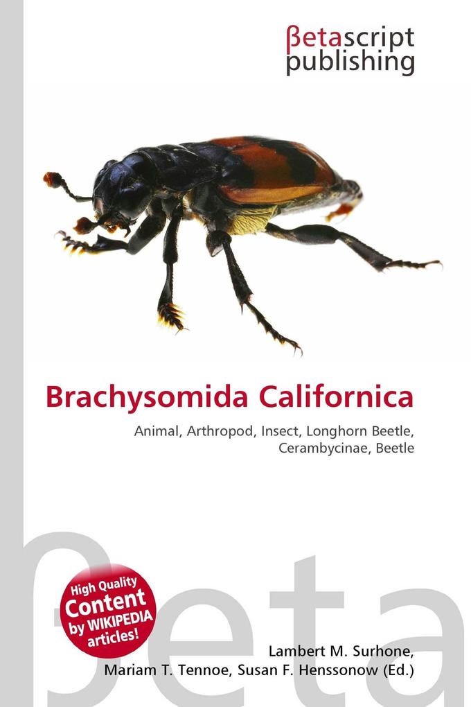 Brachysomida Californica
