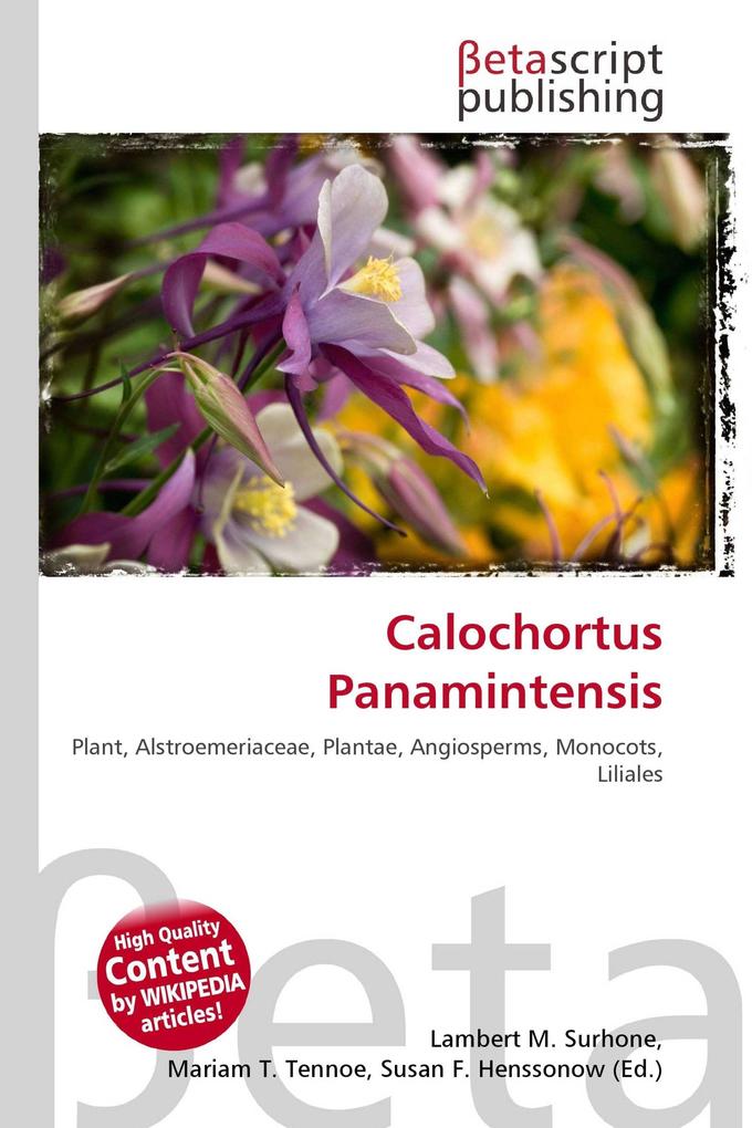 Calochortus Panamintensis