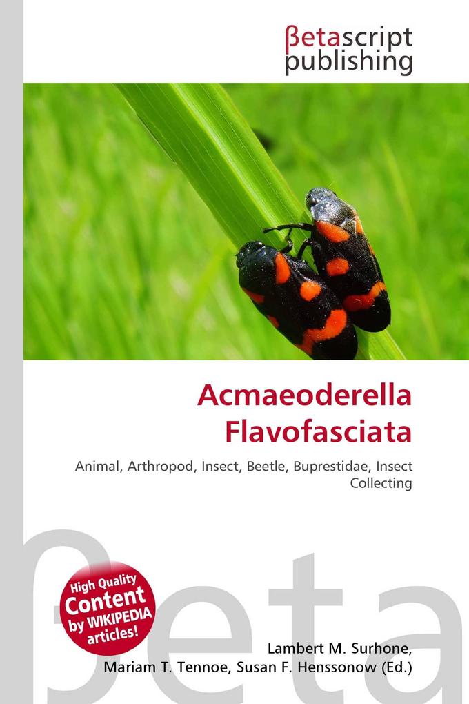 Acmaeoderella Flavofasciata