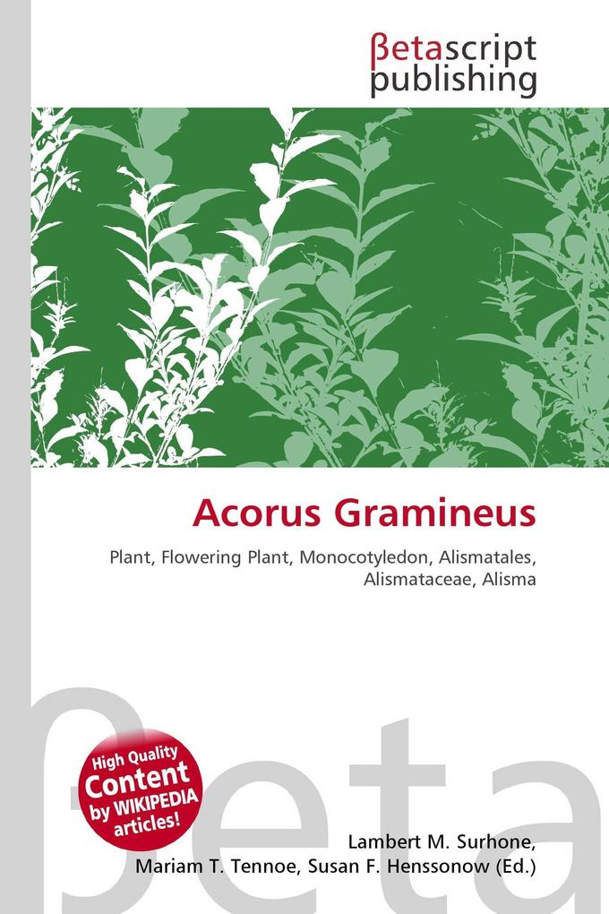 Acorus Gramineus