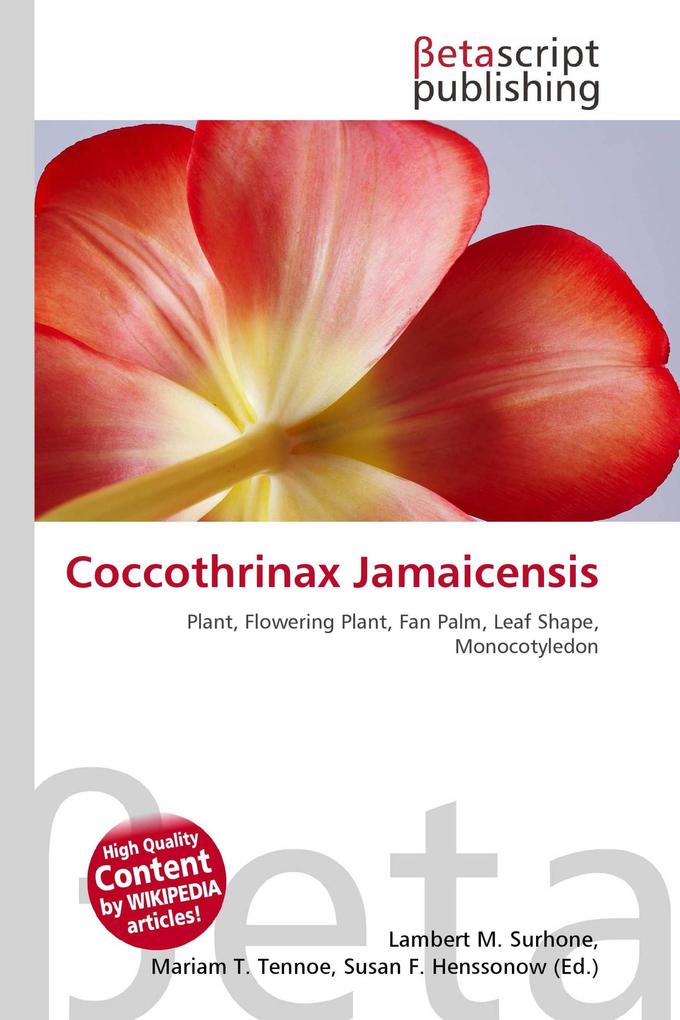 Coccothrinax Jamaicensis
