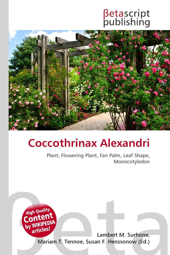 Coccothrinax Alexandri