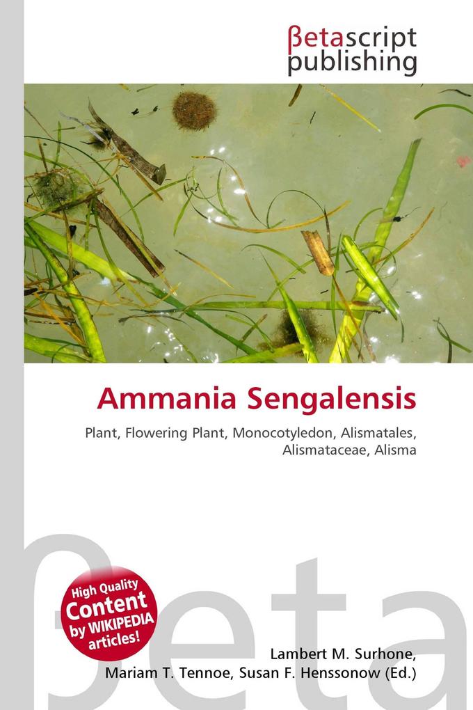 Ammania Sengalensis