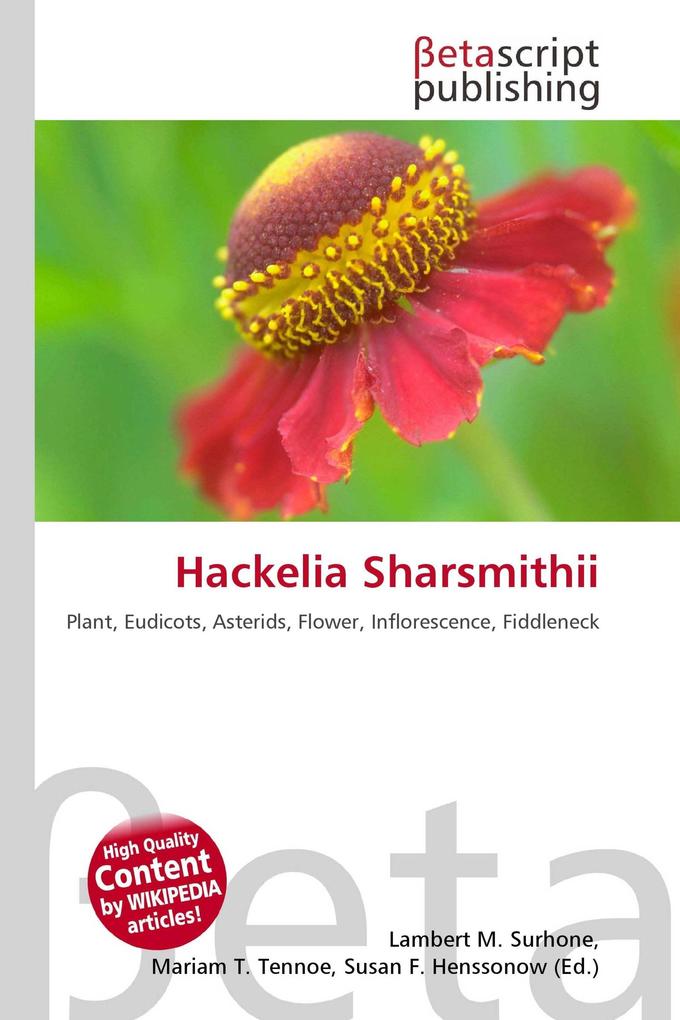 Hackelia Sharsmithii