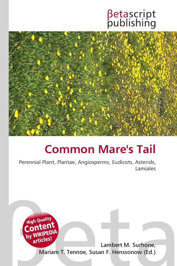 Common Mare's Tail