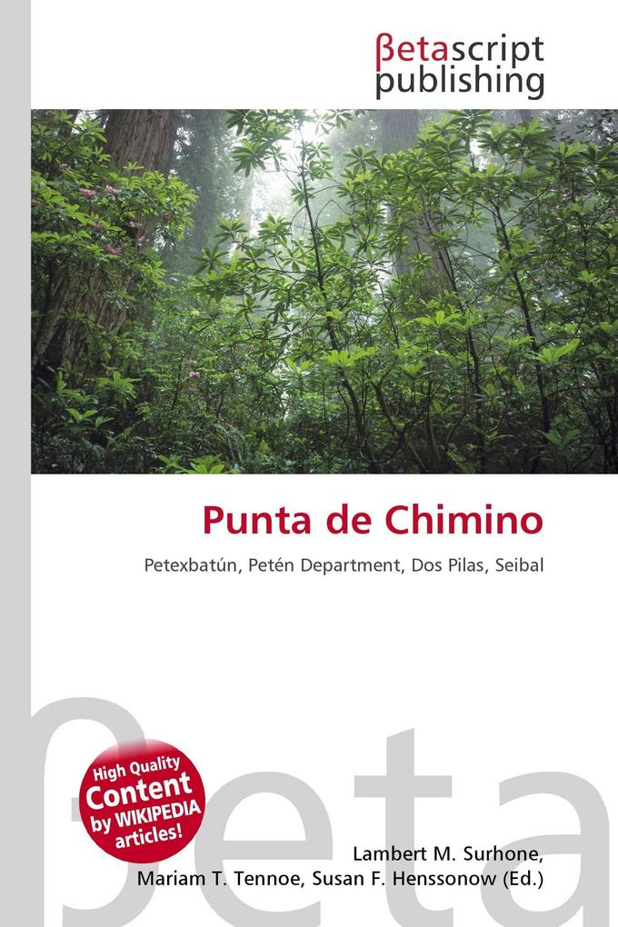 Punta de Chimino