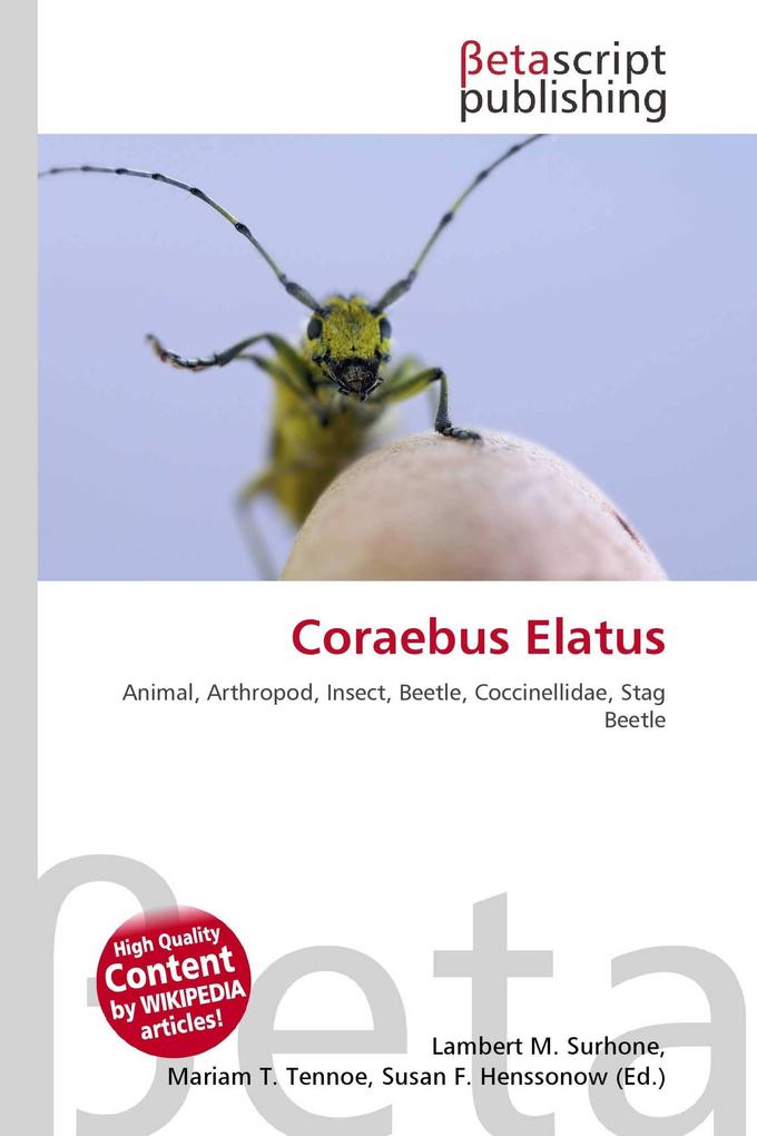 Coraebus Elatus