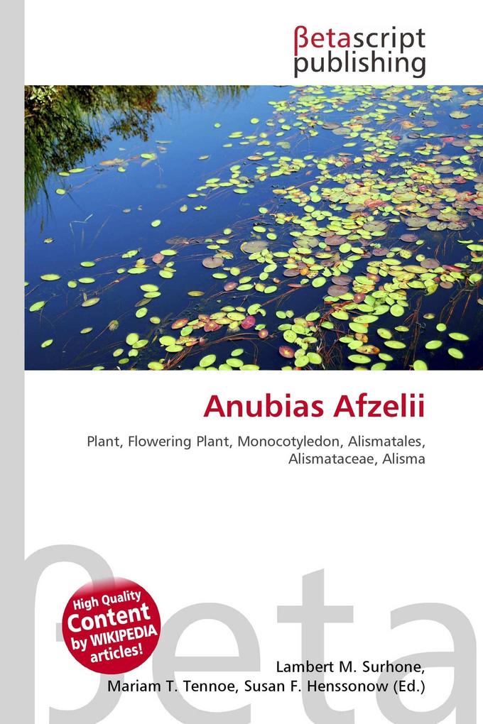 Anubias Afzelii