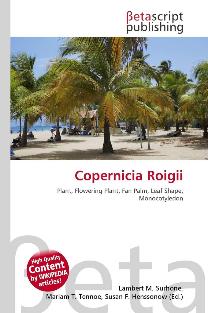 Copernicia Roigii