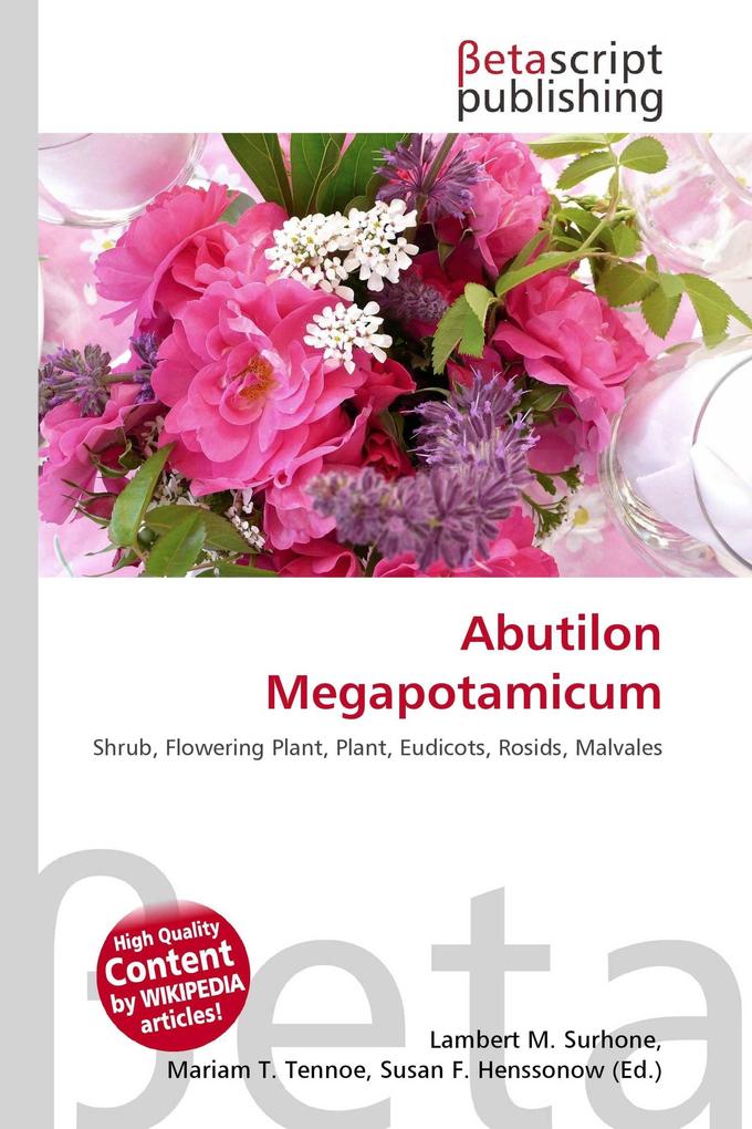 Abutilon Megapotamicum