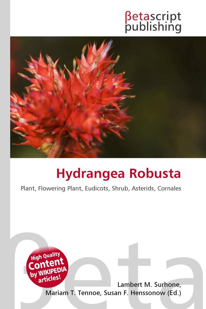 Hydrangea Robusta