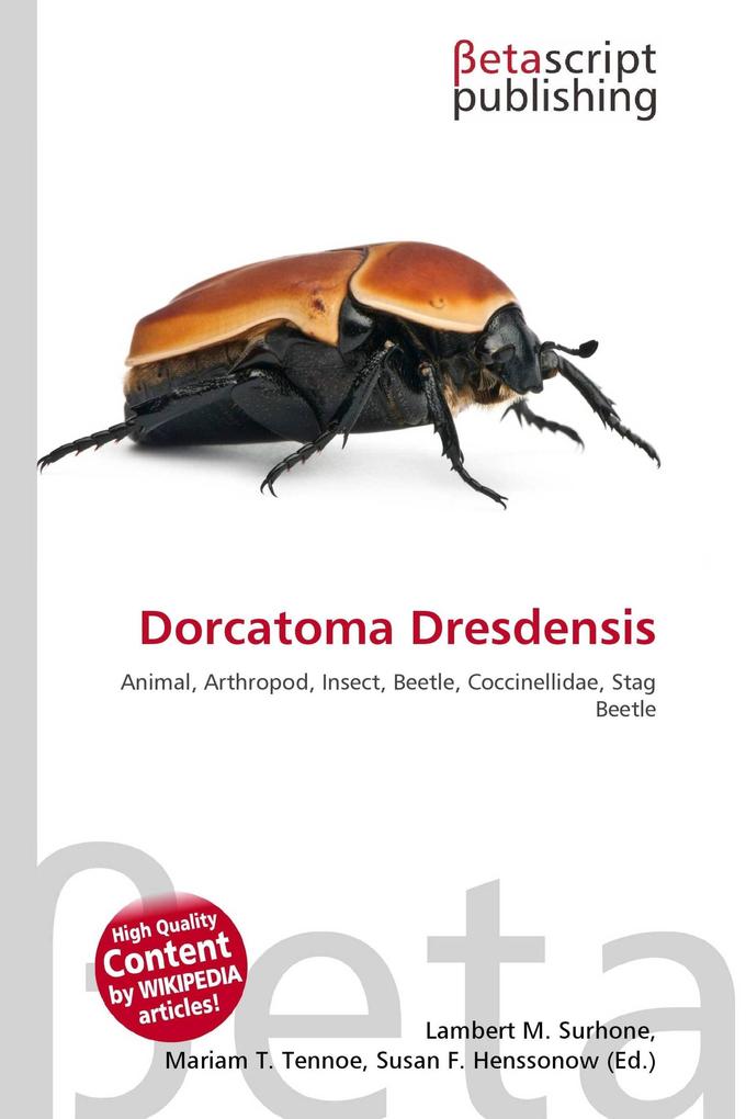 Dorcatoma Dresdensis