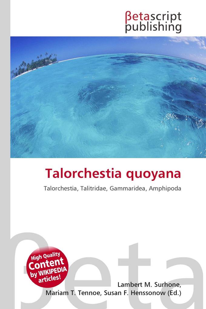 Talorchestia quoyana