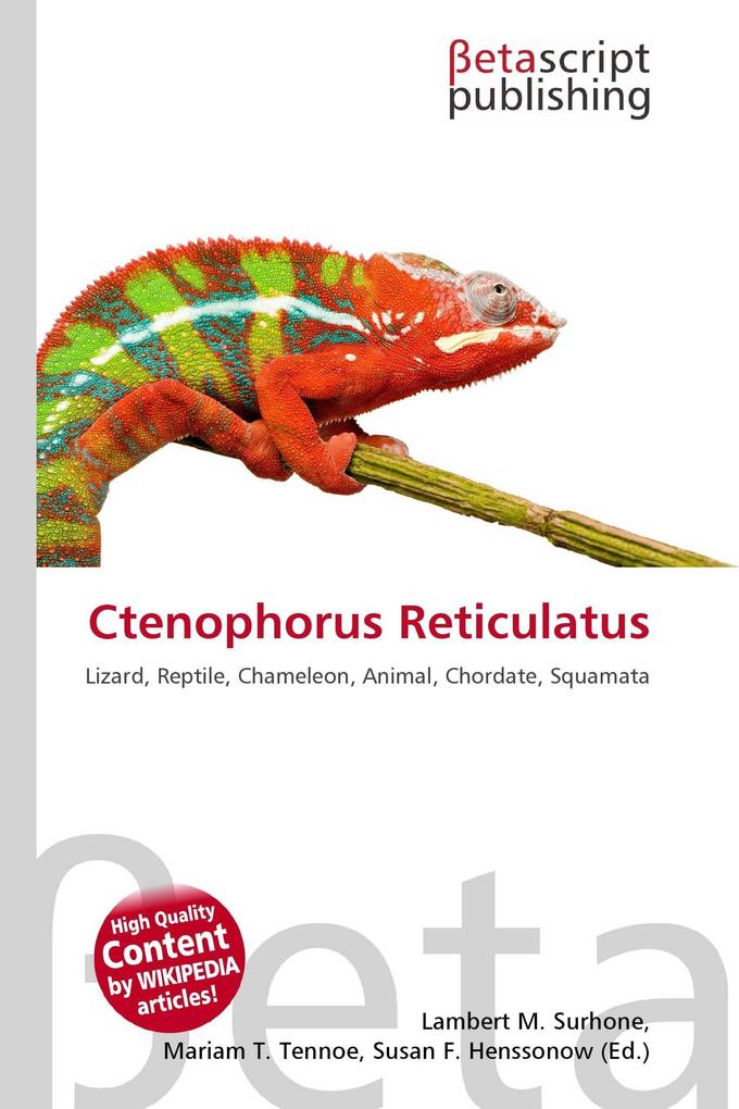 Ctenophorus Reticulatus