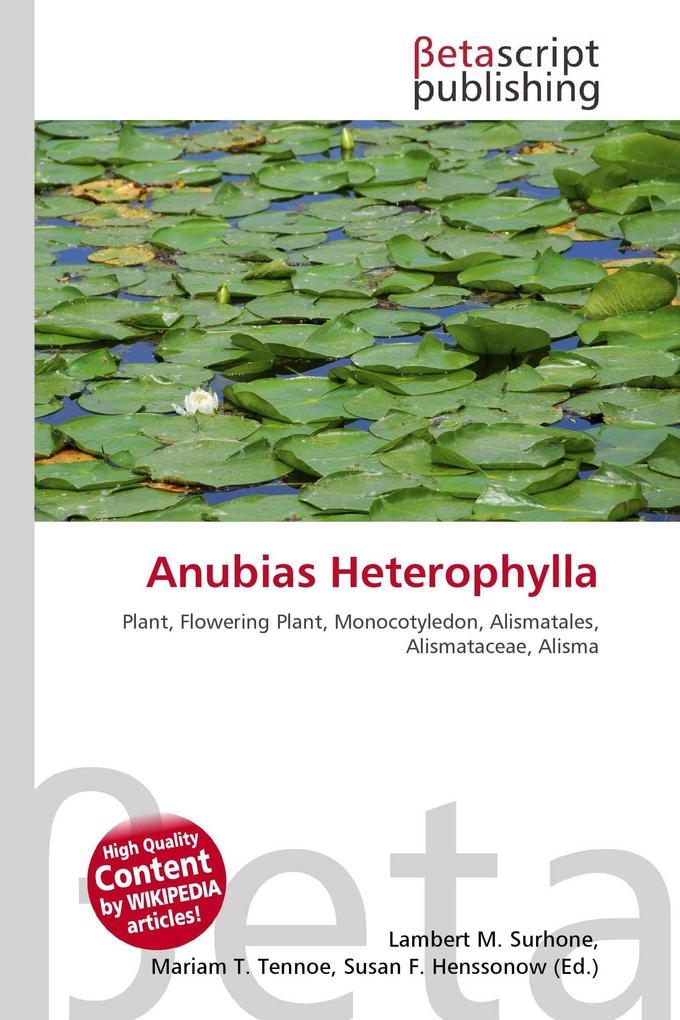 Anubias Heterophylla