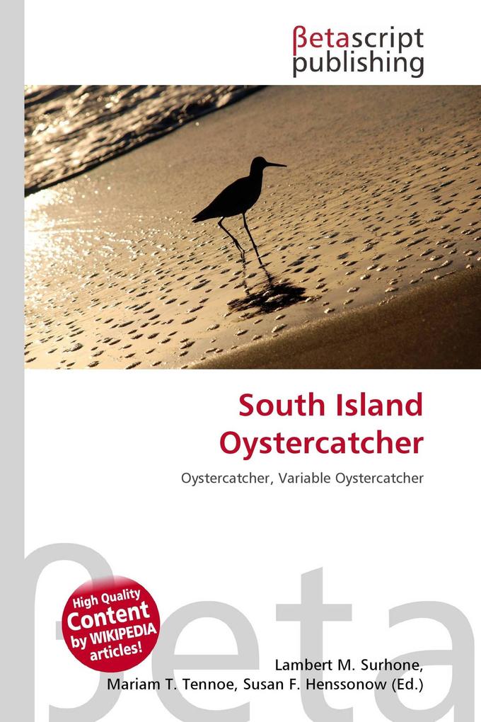 South Island Oystercatcher