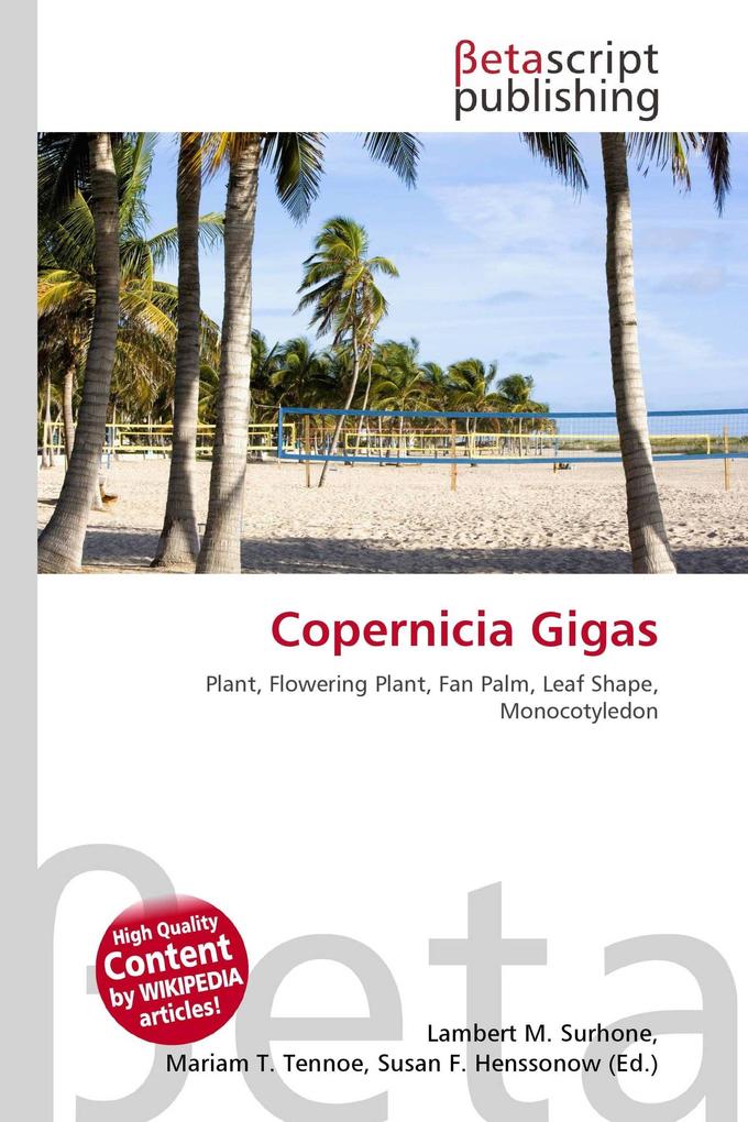 Copernicia Gigas