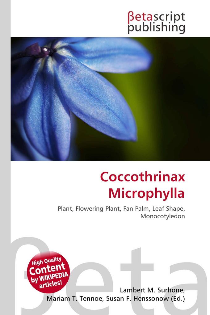 Coccothrinax Microphylla