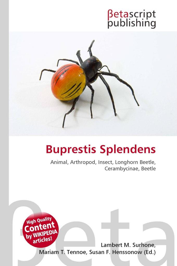 Buprestis Splendens