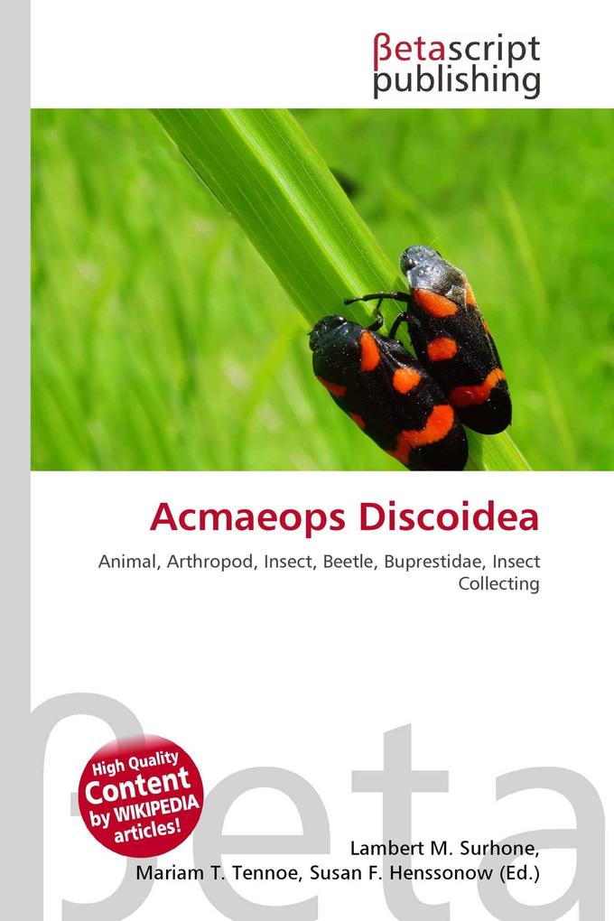 Acmaeops Discoidea