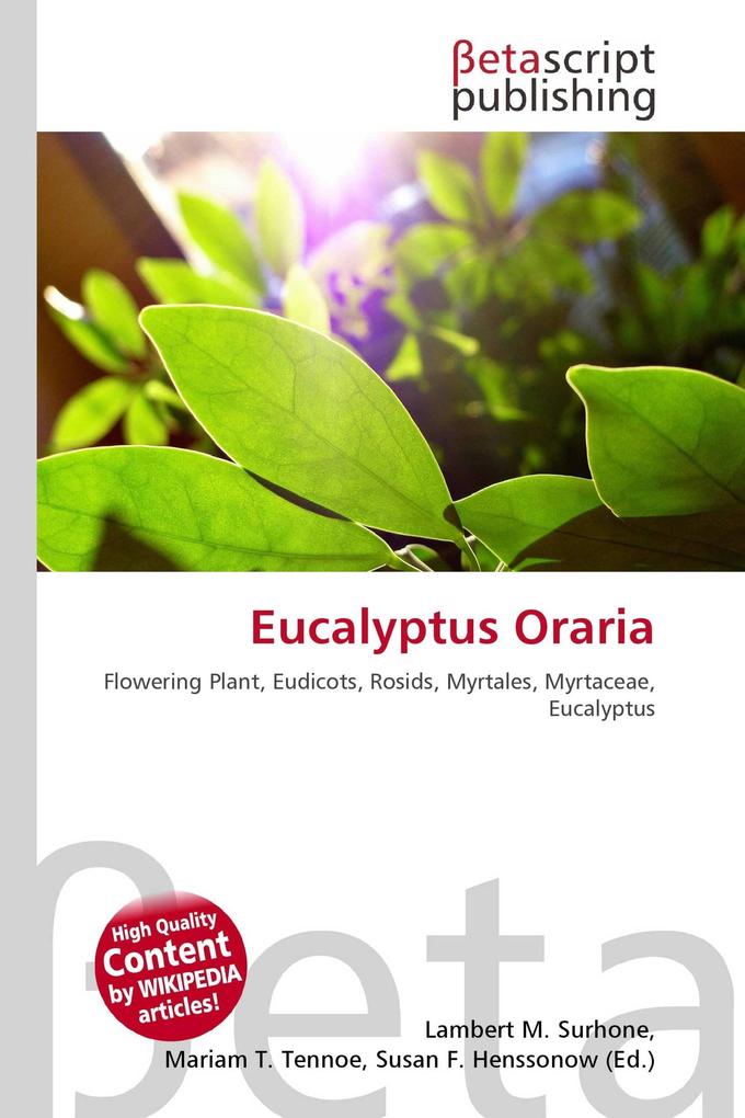 Eucalyptus Oraria