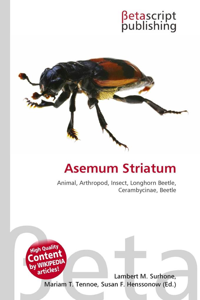 Asemum Striatum