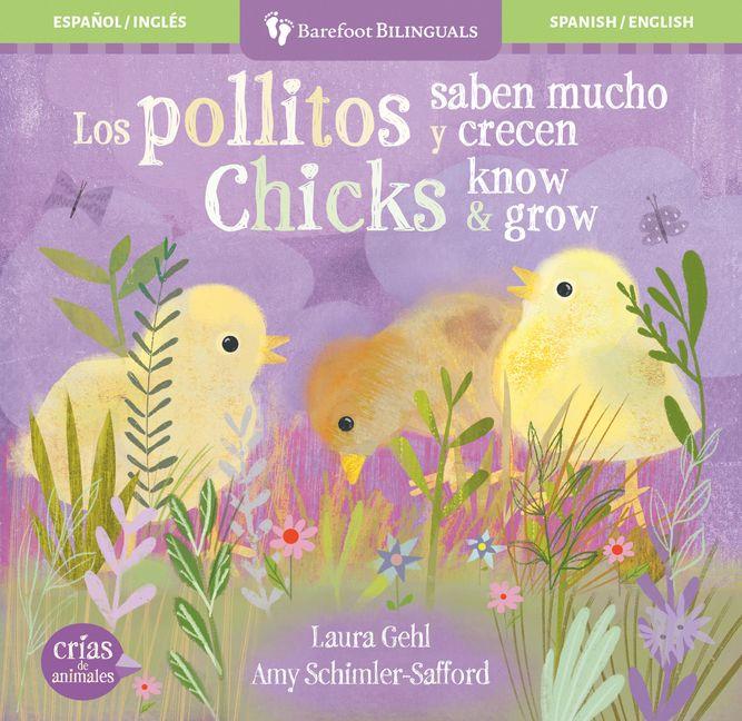 Los Pollitos Saben Mucho Y Crecen / Chicks Know & Grow