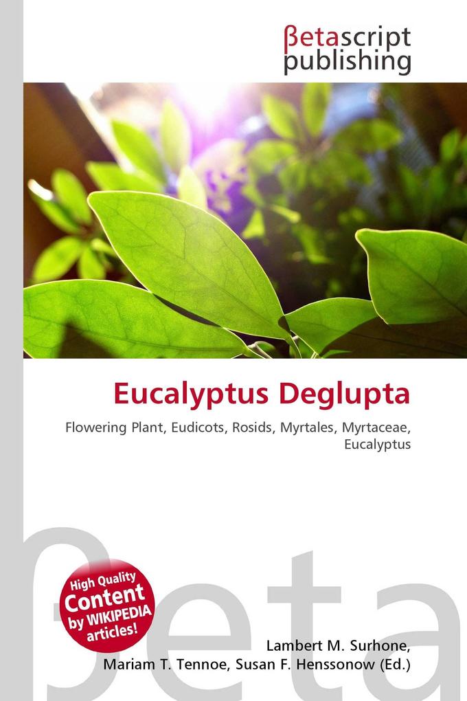 Eucalyptus Deglupta