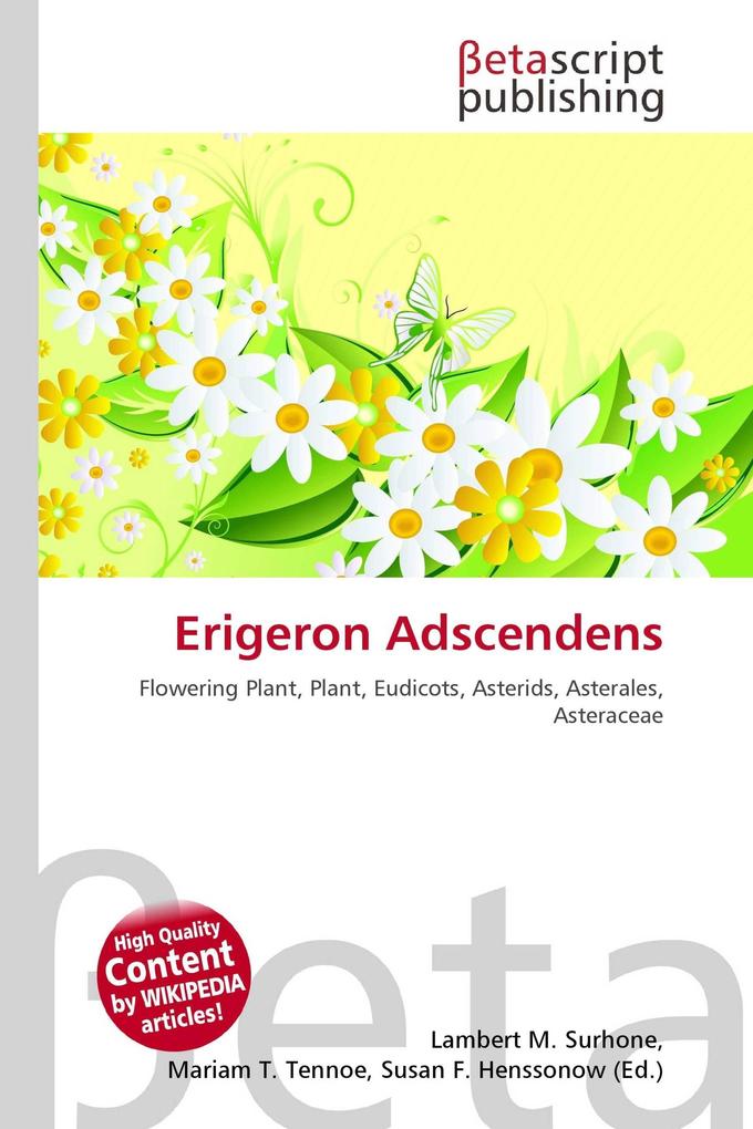 Erigeron Adscendens