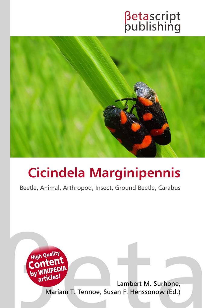 Cicindela Marginipennis