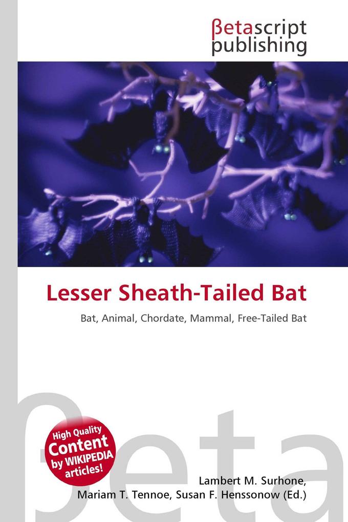 Lesser Sheath-Tailed Bat