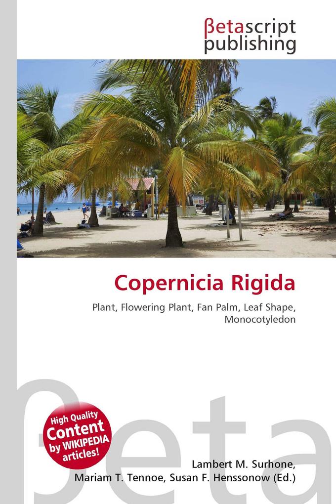 Copernicia Rigida