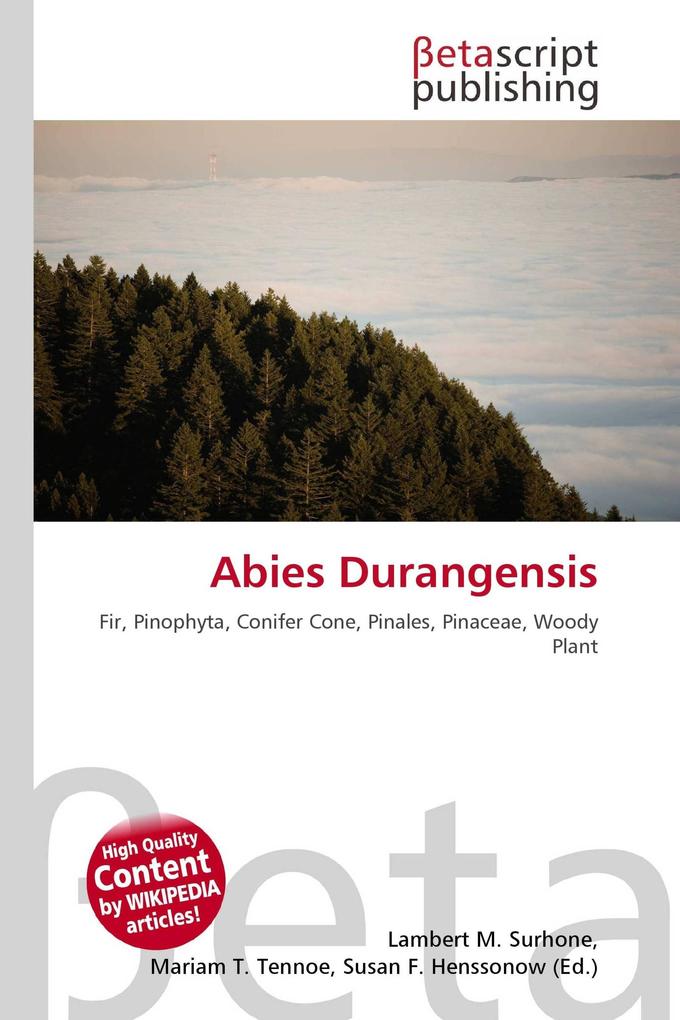 Abies Durangensis