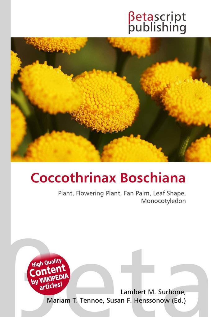 Coccothrinax Boschiana