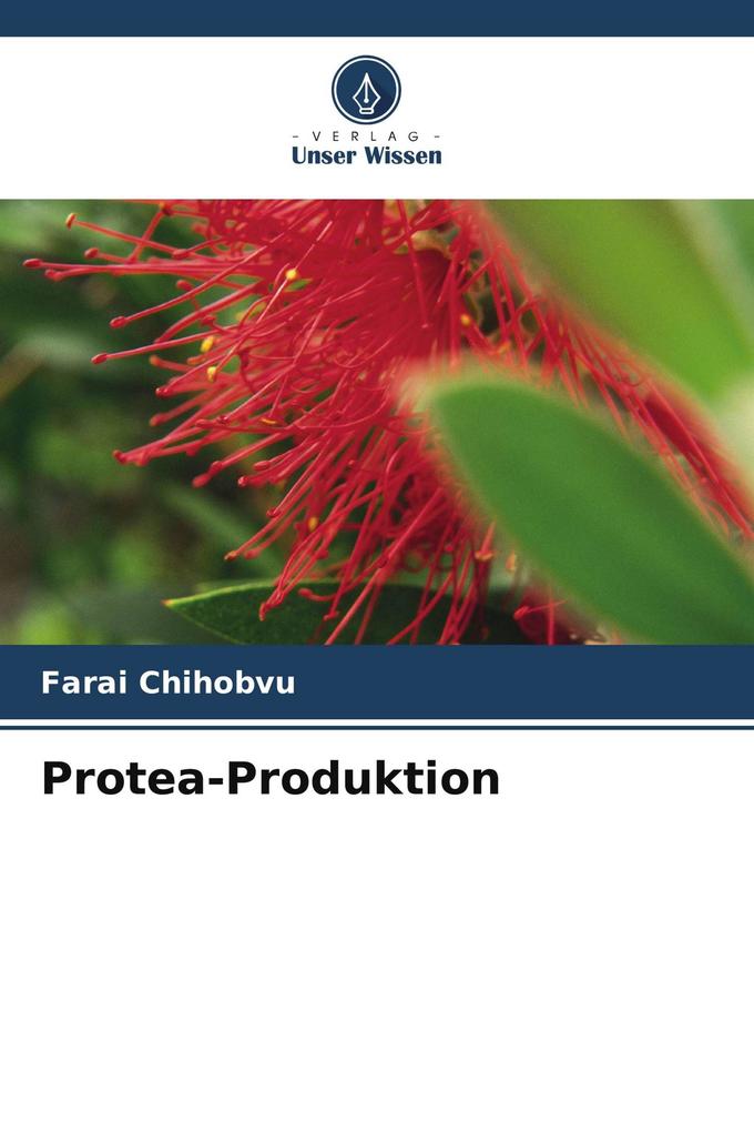 Protea-Produktion