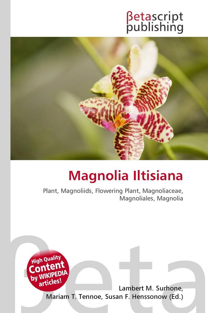Magnolia Iltisiana