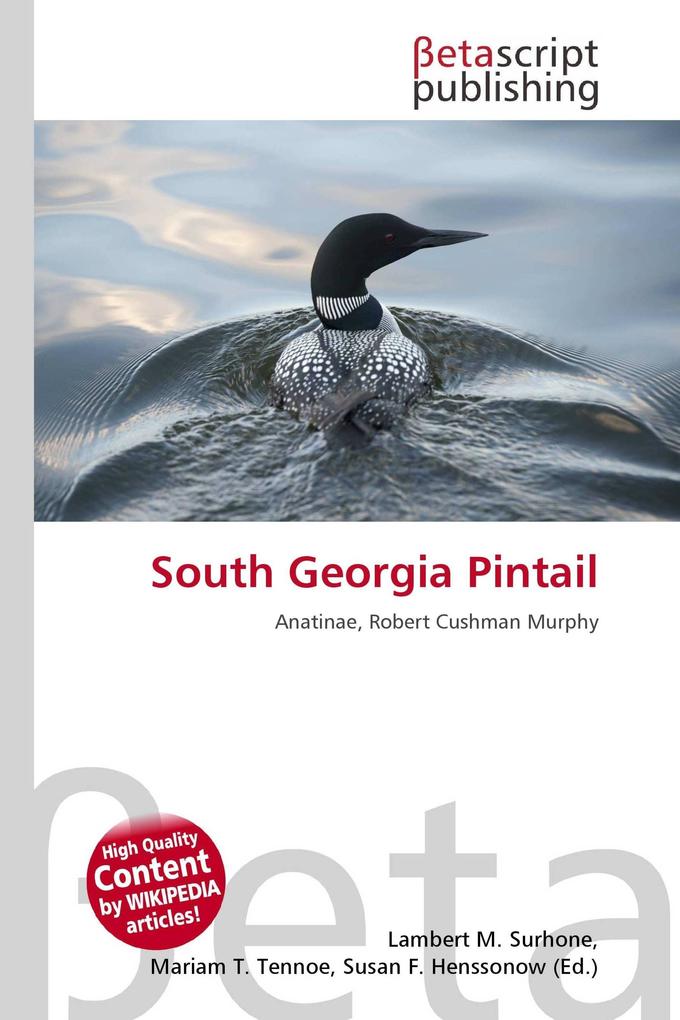 South Georgia Pintail