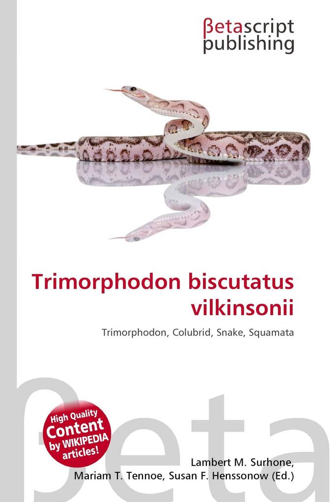 Trimorphodon biscutatus vilkinsonii