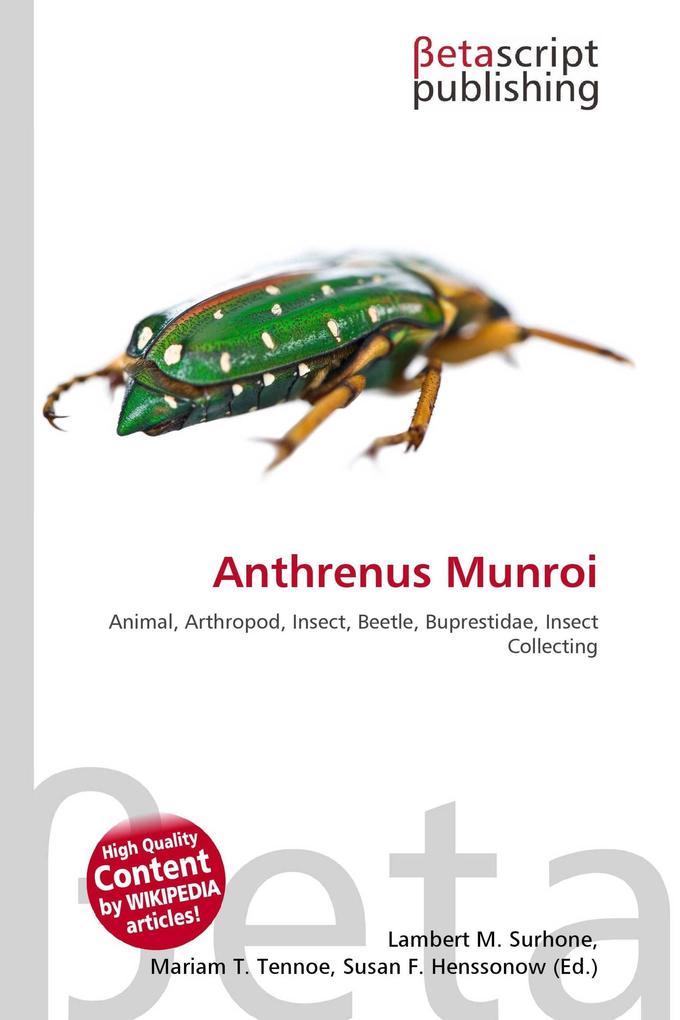 Anthrenus Munroi