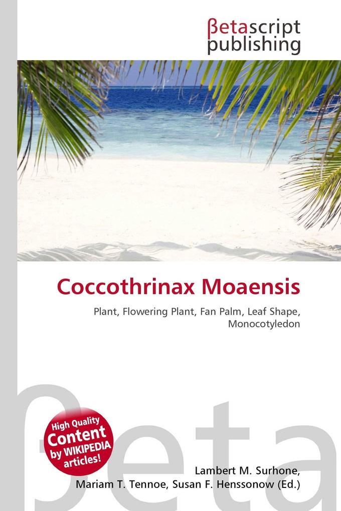 Coccothrinax Moaensis