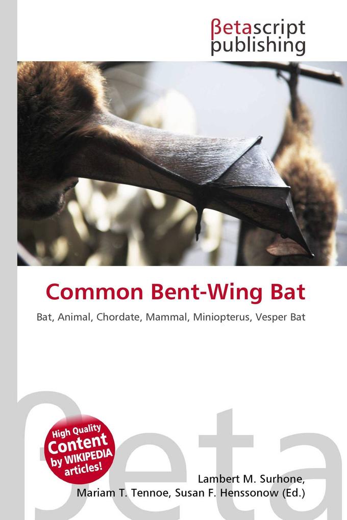 Common Bent-Wing Bat