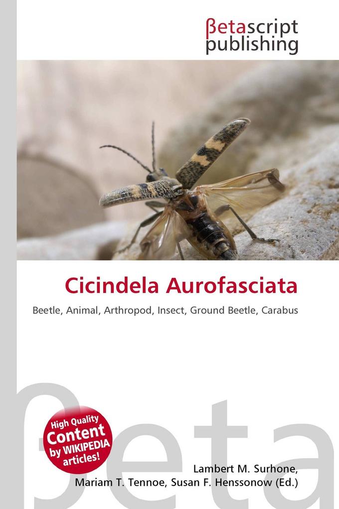 Cicindela Aurofasciata