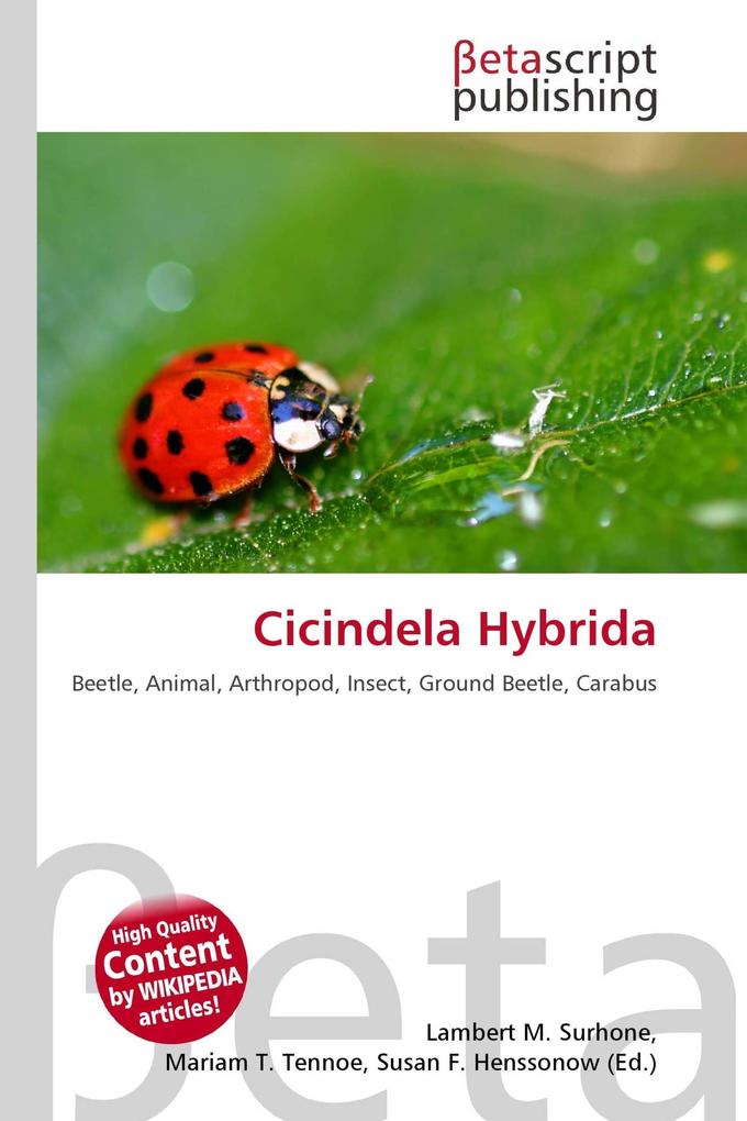 Cicindela Hybrida