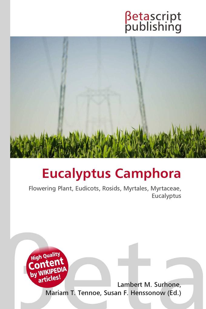 Eucalyptus Camphora