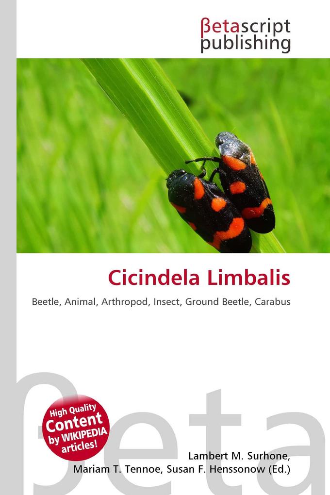 Cicindela Limbalis
