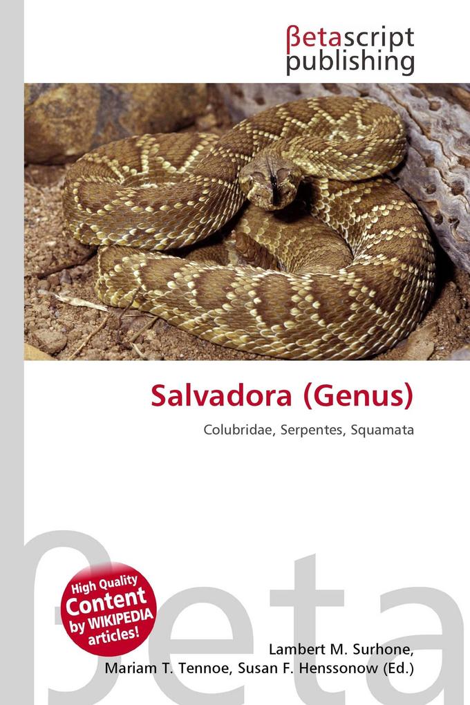 Salvadora (Genus)