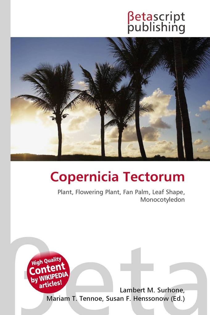 Copernicia Tectorum